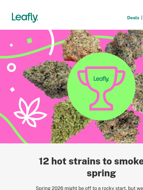 leafly newsletter: The hottest strains of Spring 2026