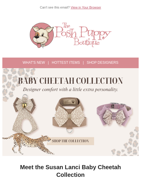 poshpuppyboutique newsletter: The New Susan Lanci Baby Cheetah Collection