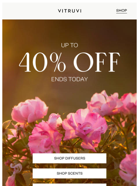 vitruvi newsletter: LAST CALL For Up To 40% OFF 🚨