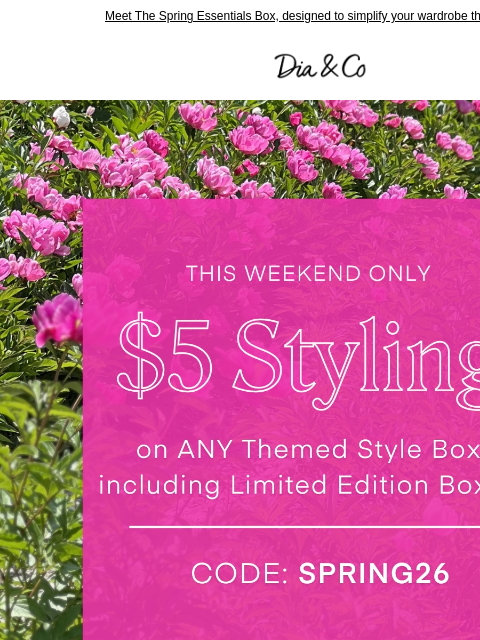 dia newsletter: Spring Starts Now—$5 Styling 🌸