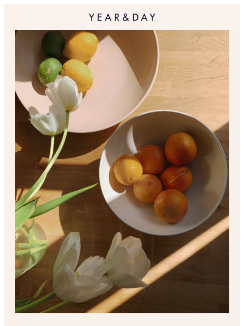 yearandday newsletter: The start of something bright