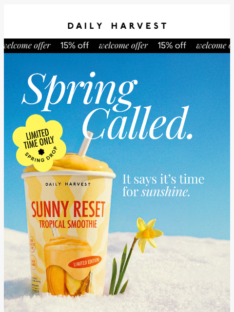 daily-harvest newsletter: Meet our brand NEW smoothie!