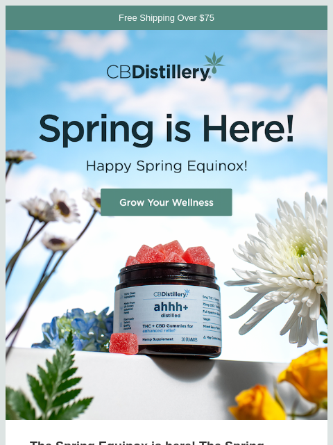 thecbdistillery newsletter: The Spring Equinox is Here!