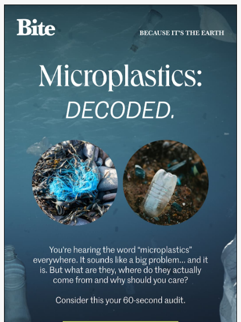 bitetoothpastebits newsletter: Microplastics 101