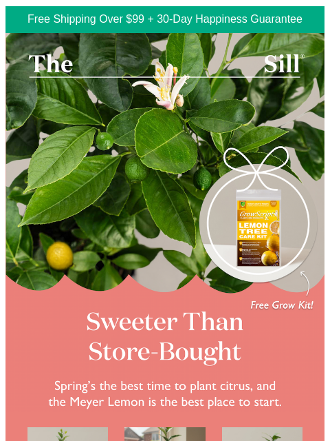 thesill newsletter: Claim your free Grow Kit!!