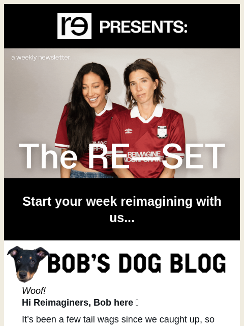 re-website newsletter: Bob's Dog Blog: The Travel Diaries 🐾