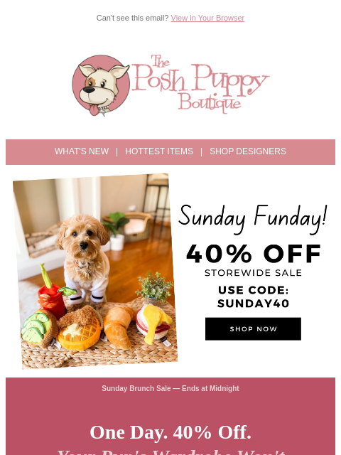 poshpuppyboutique newsletter: Today Only: 40% Off Storewide 🐶 Don't Miss It!