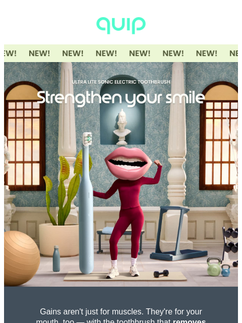 getquip newsletter: Your 👄 is hitting 15x more reps with this brush…