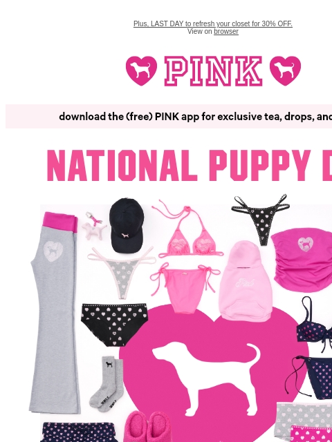 vspink newsletter: Hey, It's National Puppy Dayyy 🐾