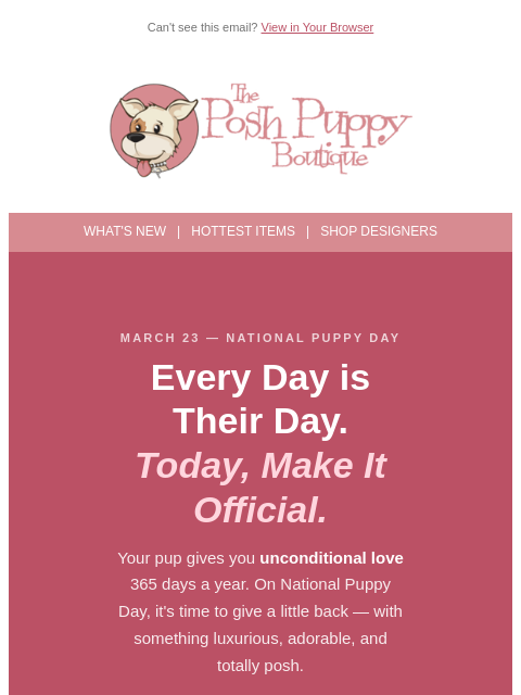 poshpuppyboutique newsletter: It's National Puppy Day! 🐾 Celebrate with Somethi...