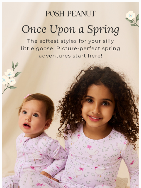 poshpeanut newsletter: For Your Silly Little Goose🪿✨