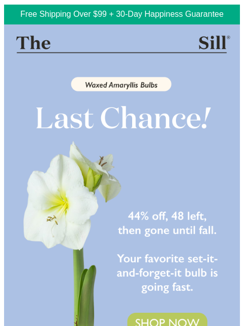 thesill newsletter: 44% Off, 48 Left