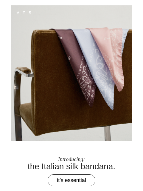 ayr newsletter: the silk accessory that elevates *everything*