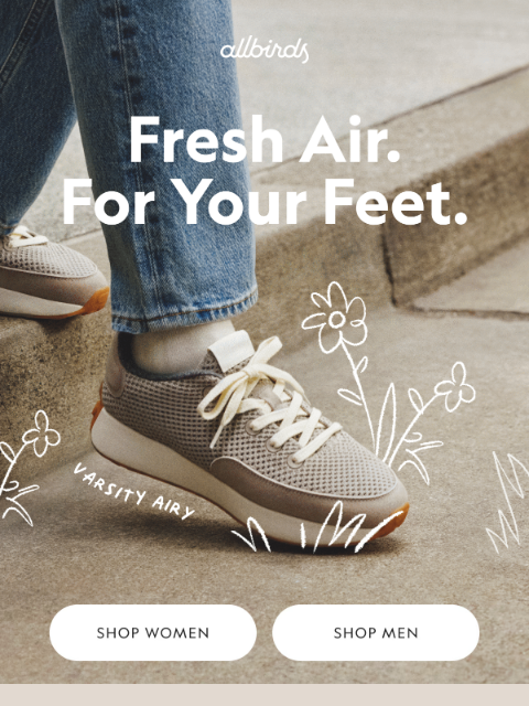 allbirds newsletter: These Shoes Are Super Breathable.