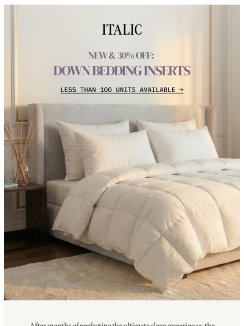 italic newsletter: NEW: Down Comforter + Pillows (Plus, 30% off)