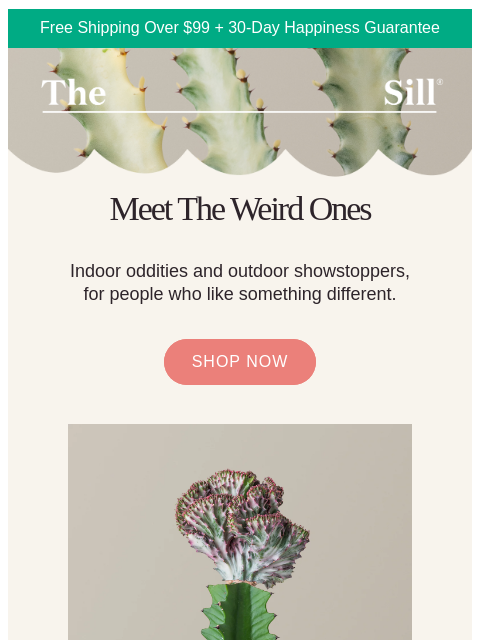 thesill newsletter: We found the weird ones