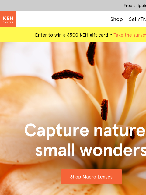 keh newsletter: Get closer with KEH Certified™ macro lenses 🔎