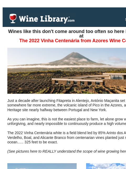 winelibrary newsletter: 95pts incredible WHITE from the middle of the Atla...