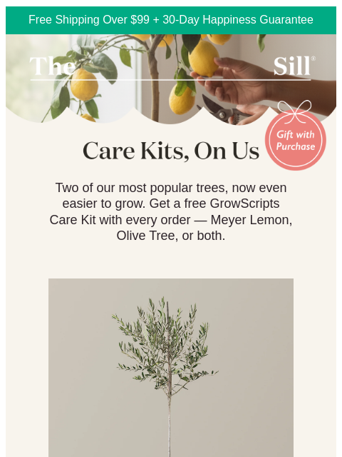 thesill newsletter: FREE Care Kits!