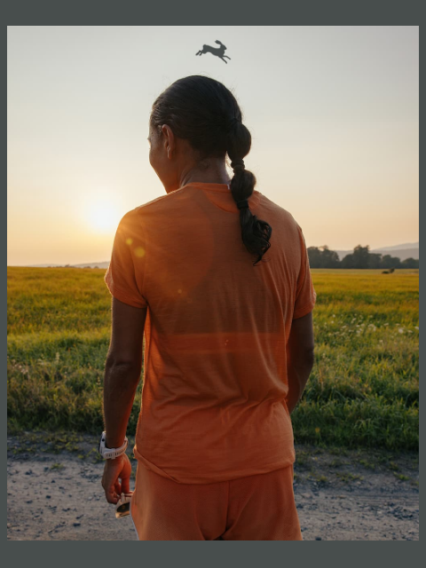 tracksmith newsletter: It’s (Finally) Tee Time