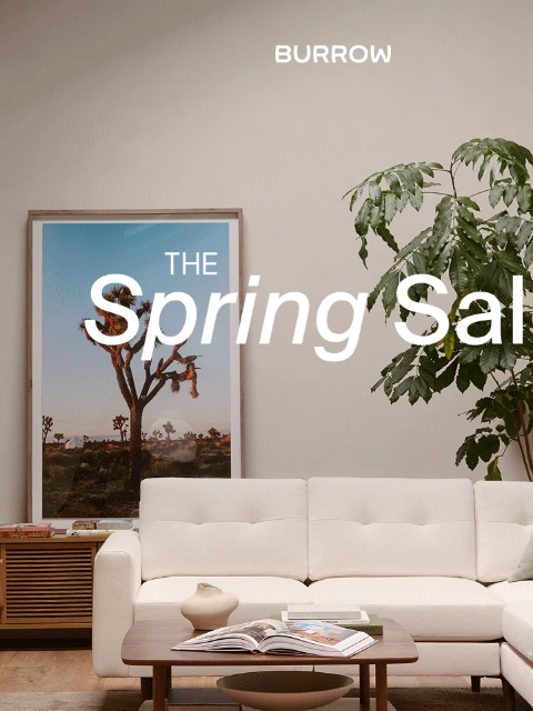 burrow newsletter: Three. Days. Left.