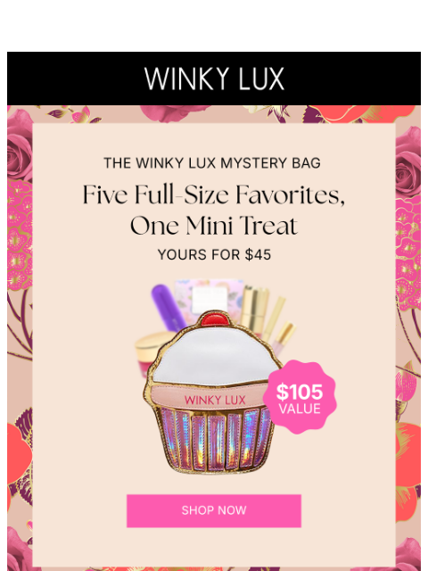 winkylux newsletter: The Mystery Bag Is Here... Secret’s Out!