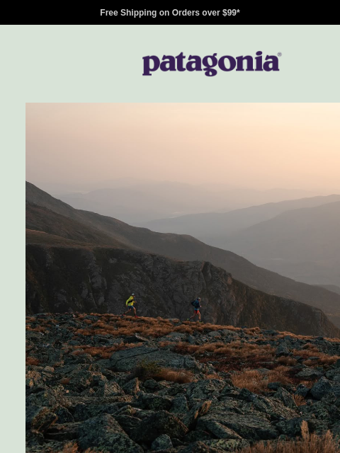 patagonia newsletter: Our new favorites for men