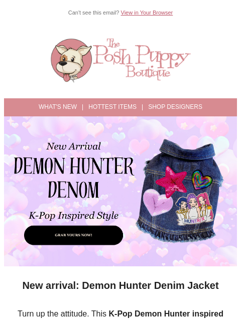 poshpuppyboutique newsletter: New Arrival: K-Pop Demon Hunter Denim Jacket
