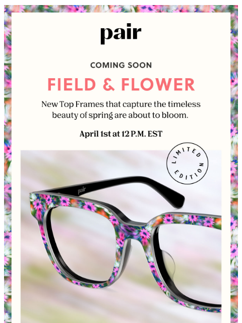 paireyewear newsletter: Coming Soon: Field & Flower Top Frames 🌷
