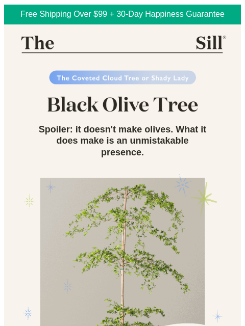 thesill newsletter: Meet the cloud tree with a collector following