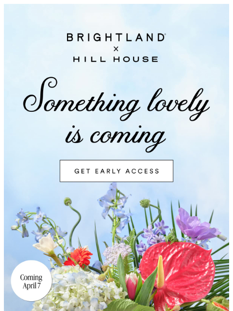 brightland newsletter: Brightland × Hill House is coming 4/7
