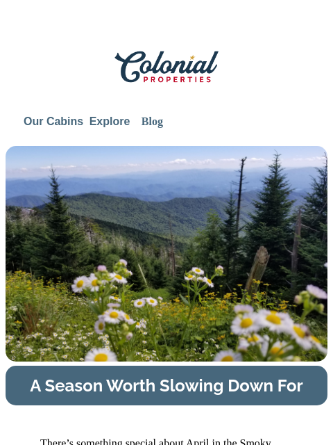 colonialproperties newsletter: A Timeless Spring in the Smokies
