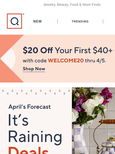 qvcemail newsletter: A 100% Chance of Deals Inside