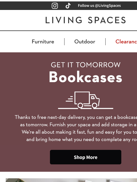 livingspaces newsletter: A Bookcase by Tomorrow? We'll Make it Happen!