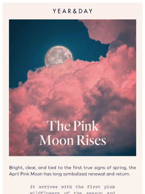 yearandday newsletter: Under the Pink Moon 🌸🌕