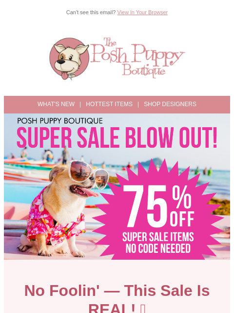 poshpuppyboutique newsletter: No Foolin' — 75% Off Super Sale Starts NOW! 🎉