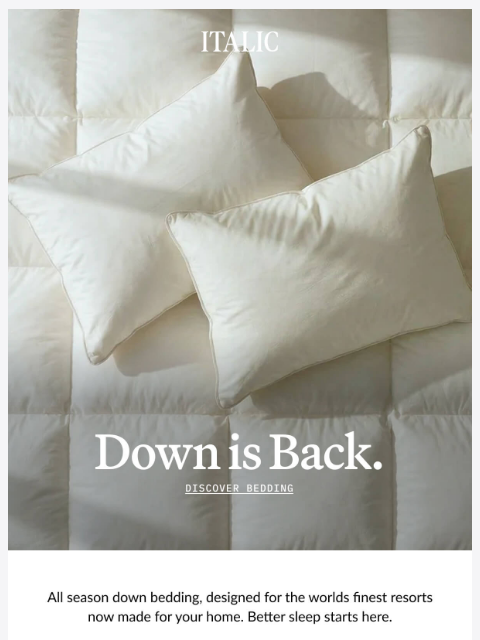 italic newsletter: Down Collection: New & Improved