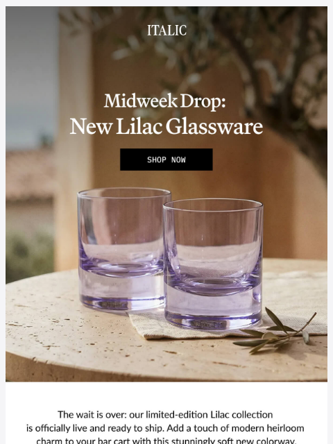 italic newsletter: Midweek Drop: New Glassware Sets in Lilac