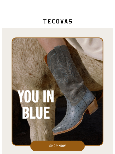 tecovas newsletter: NEW ANNIE ALERT