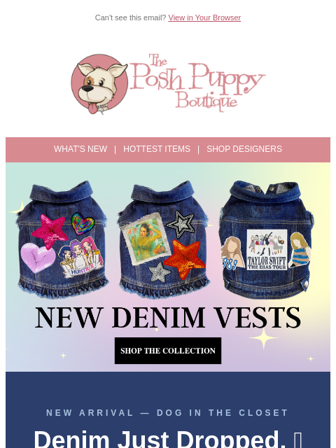 poshpuppyboutique newsletter: New Denim Just Dropped 🎸 Swiftie, Showgirl & K-Po...