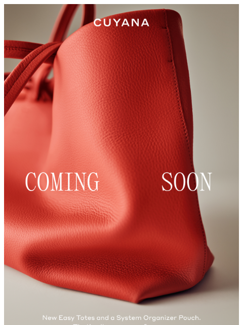 cuyana newsletter: A Highly Requested Easy Totes Upgrade