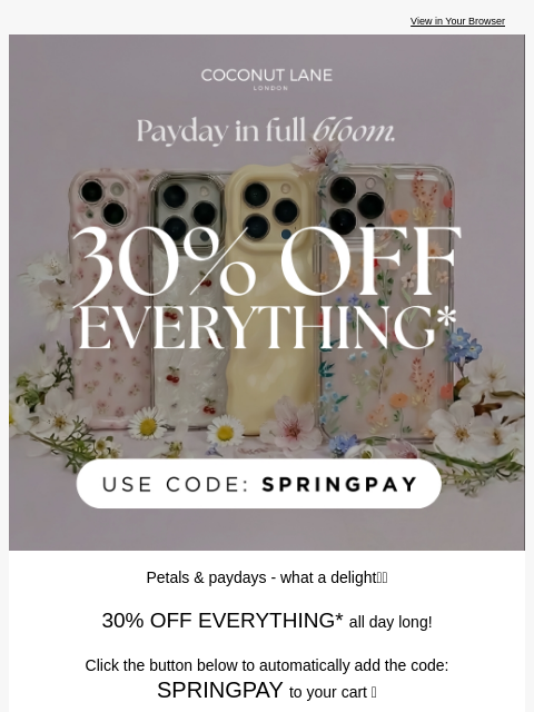 coconut-lane newsletter: 30% OFF EVERYTHING* ALL DAY💸😎