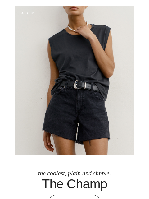 ayr newsletter: your older sister’s coolest friend