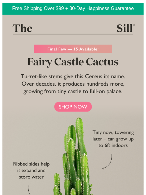 thesill newsletter: A Castle. No Mortgage.