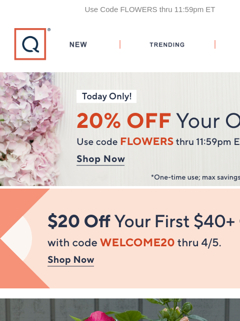 qvcemail newsletter: Today Only! 20% Off Your Order