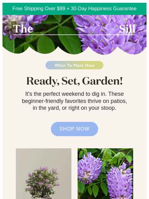 thesill newsletter: What we're planting this weekend