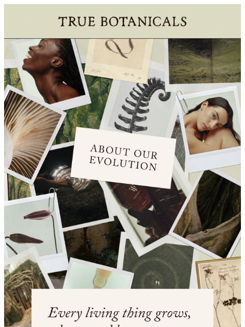 truebotanicals newsletter: We’ve changed a few things…