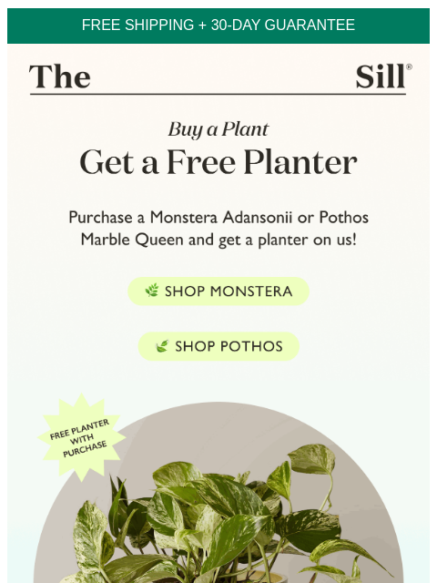 Buy a plant, get a FREE planter ͏ ͏ ͏ ͏ ͏ ͏ ͏ ͏ ͏ ͏ ͏ ͏ ͏ ͏ ͏ ͏ ͏ ͏ ͏ ͏ ͏ ͏ ͏ ͏ ͏ ͏ ͏ ͏ ͏ ͏ ͏ ͏ ͏ ͏ ͏ ͏ ͏ ͏ ͏ ͏ ͏ ͏ ͏ ͏ ͏ ͏ ͏ ͏ ͏ ͏ ͏ ͏ ͏ ͏ ͏ ͏ ͏ ͏ ͏ ͏ ͏ ͏ ͏ ͏ ͏ ͏ ͏ ͏ ͏ ͏ ͏ ͏ ͏ ͏ ͏ ͏ ͏ ͏ ͏ ͏ ͏ ͏ ͏ ͏ ͏