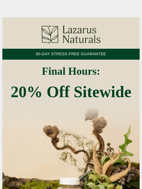 lazarusnaturals newsletter: ⏳Last Chance: 20% Off + Double Points!