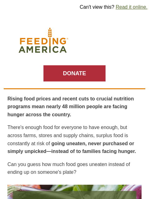 feedingamerica newsletter: Do you know how much food goes uneaten every year?